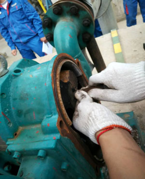 罗德转子泵维修